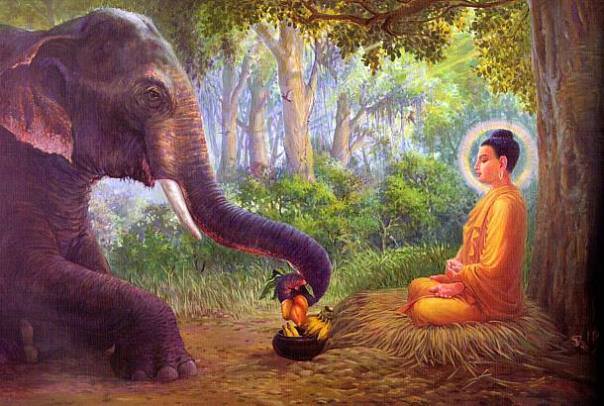 ***CHÚNG TA ĐÃ BIẾT CÁCH ĂN CHƯA?!***