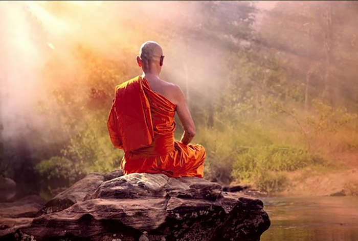 ***ĂN & NÓI SUY NGHĨ & HÀNH ĐỘNG***