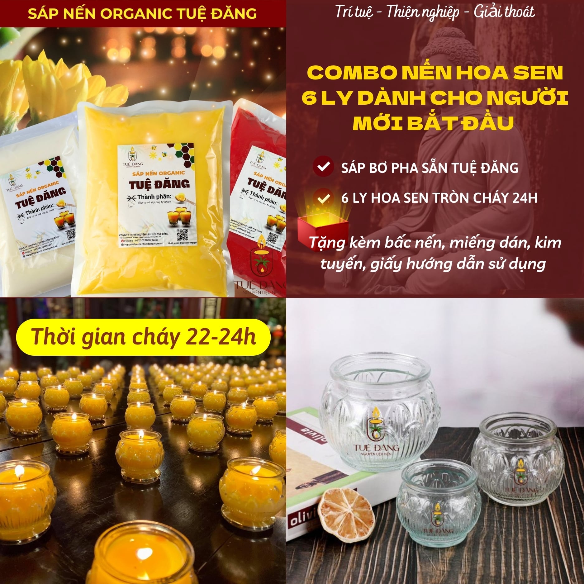 COMBO 6 LY HOA SEN TRÒN -min